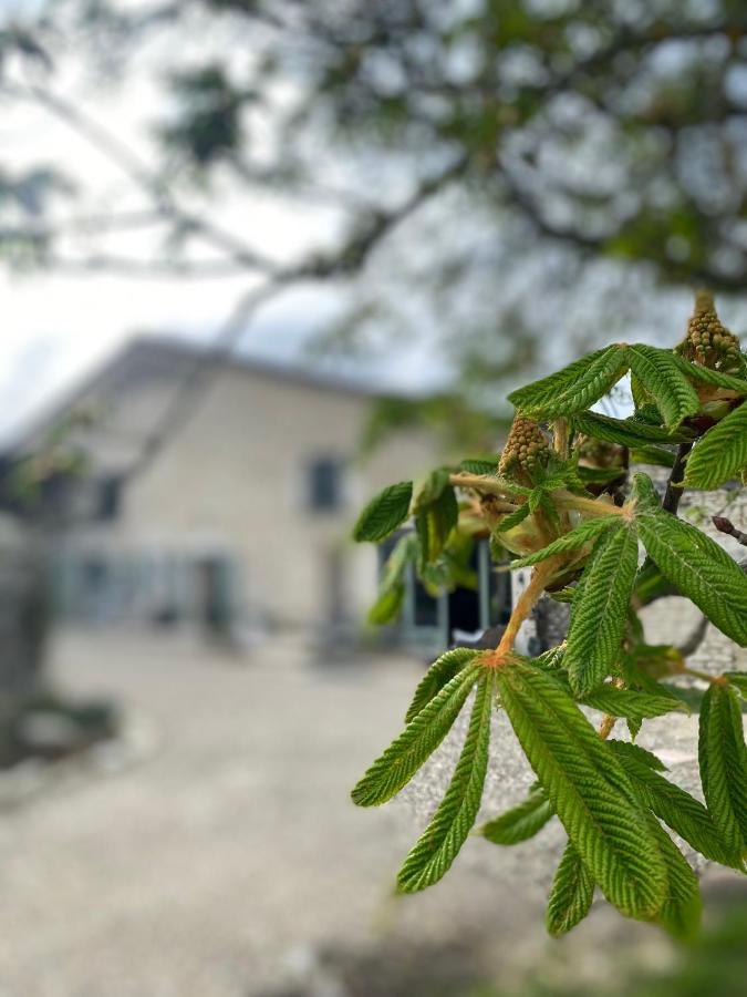 Figtrees Margueron Exterior foto